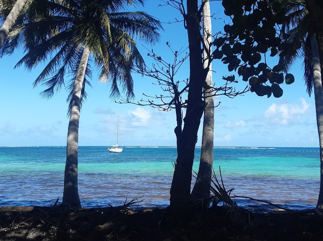 Plage La caravelle-Sainte-Anne必去景点