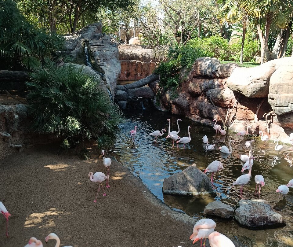 Bioparc Fuengirola-福恩吉罗拉必去景点