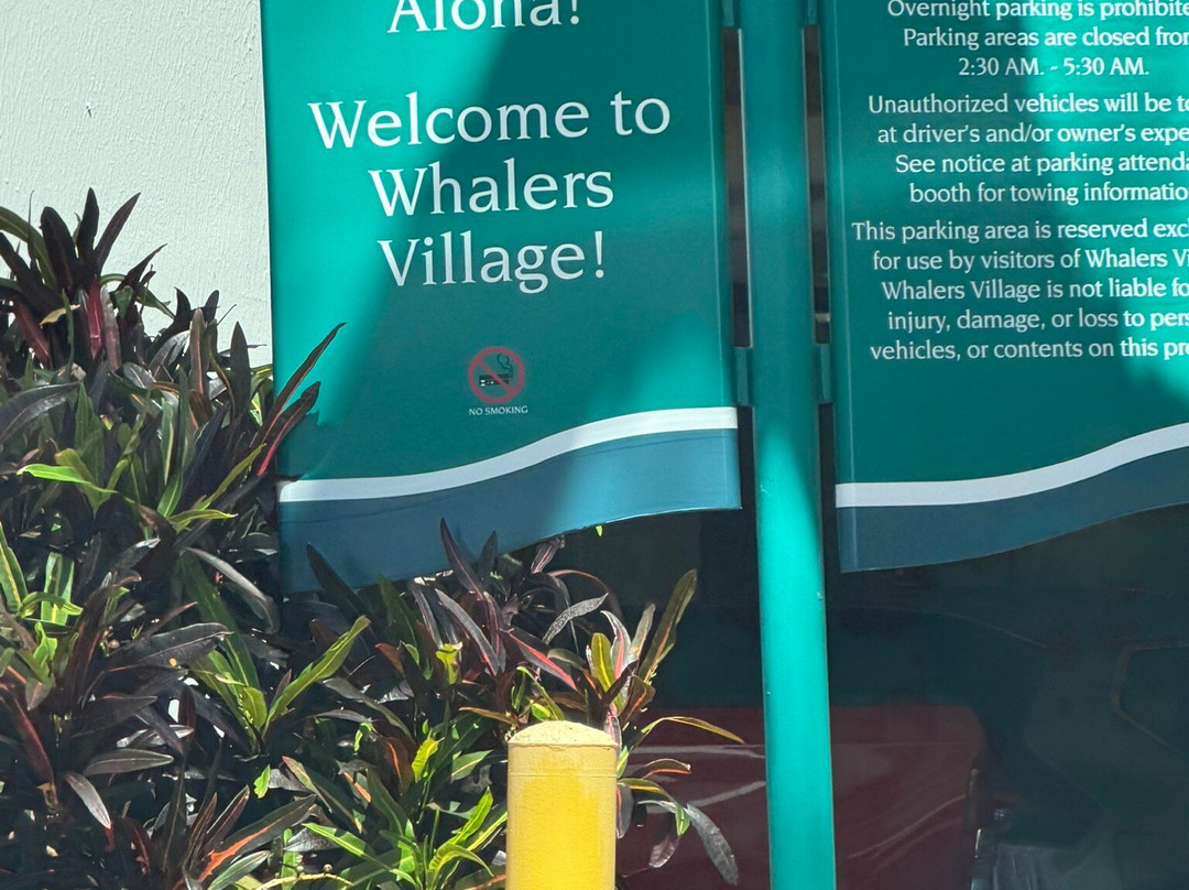 Whalers Village-拉海纳必去景点