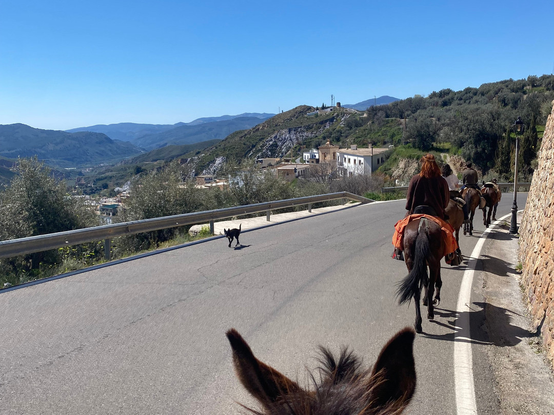 Equi-libre Sierra Nevada-Laroles必去景点