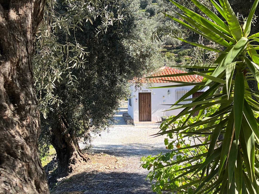 Finca Floretta主图