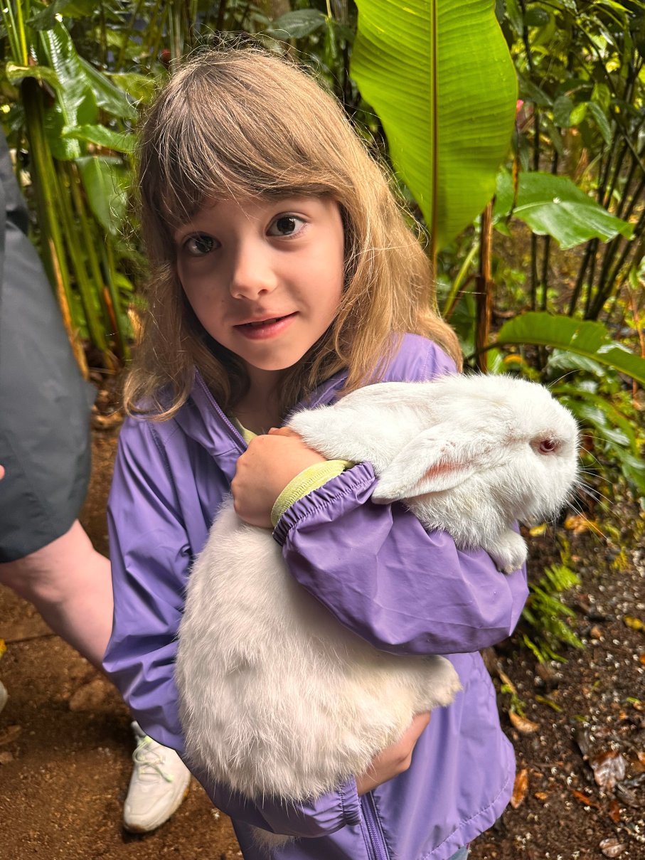 卡西塔斯特诺里奥家庭旅馆-官方