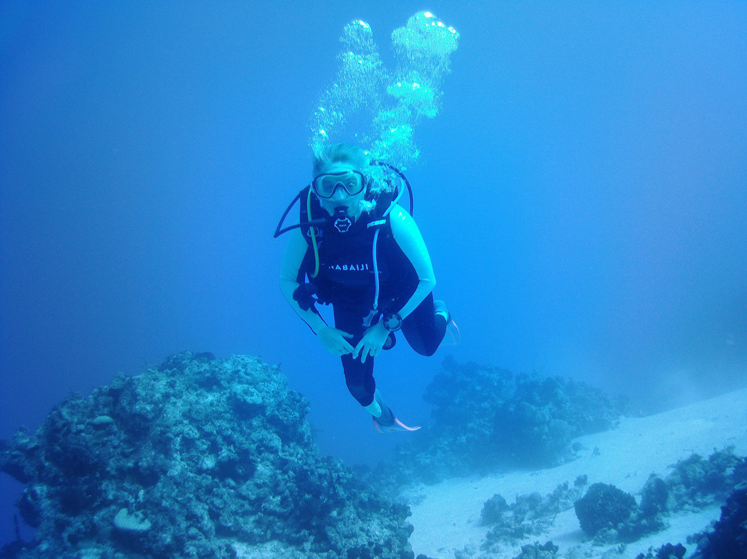 Only Blue Diving Dreams-Cockburn Town必去景点