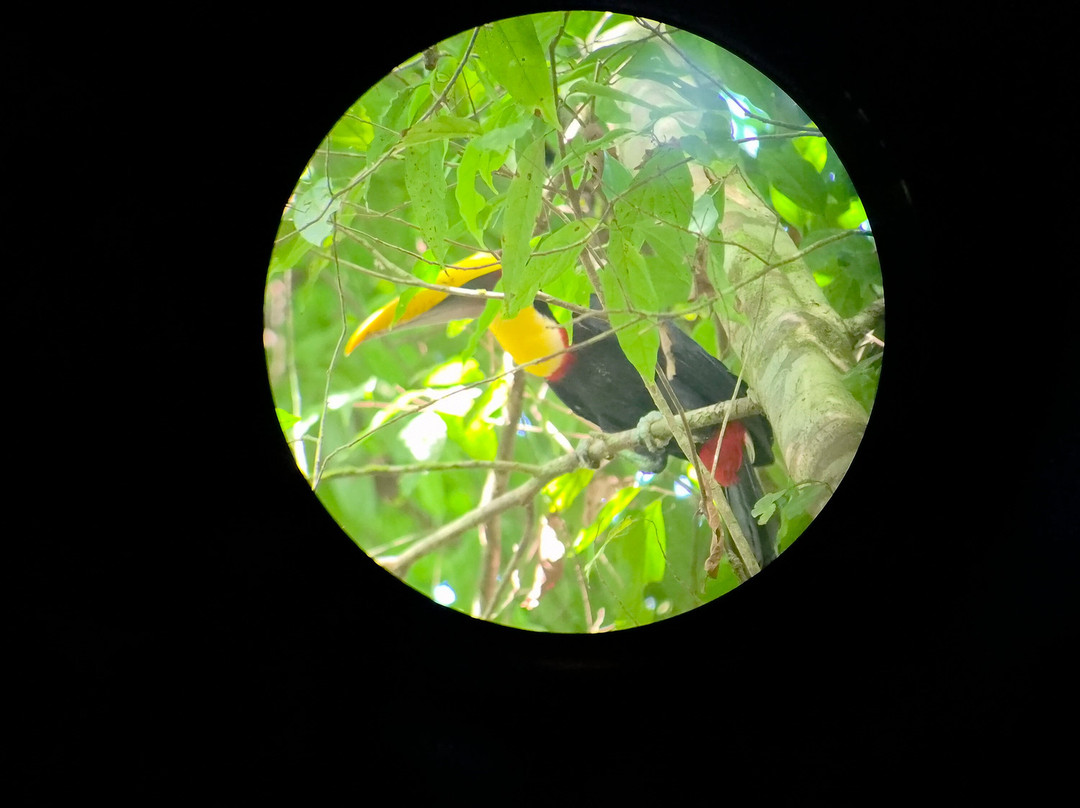 Corcovado Guia CR-希门尼斯港必去景点