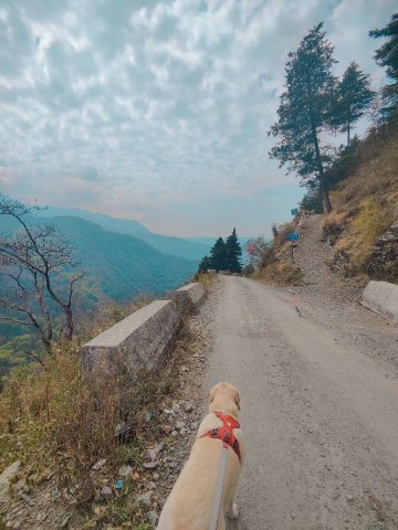 坡贡特胜地-官方