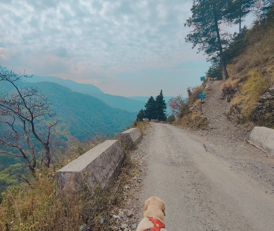 坡贡特胜地主图