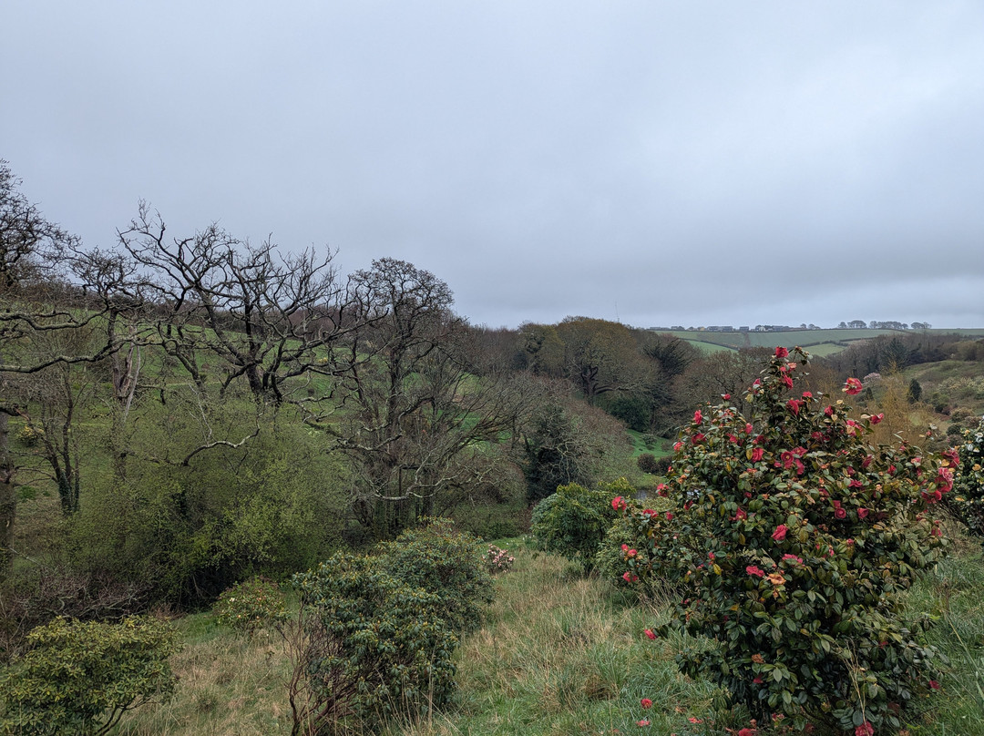 Fast Rabbit Farm Gardens-达特茅斯必去景点