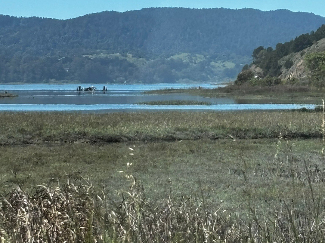 Bolinas Beach-Bolinas必去景点