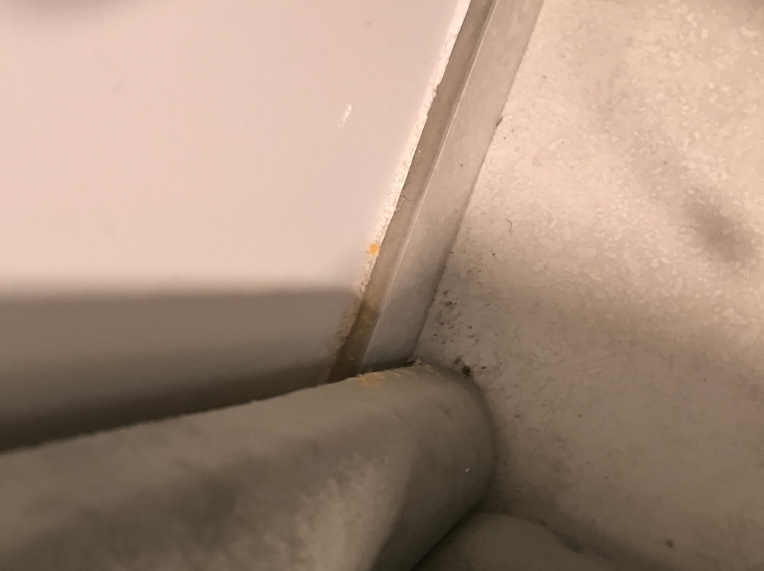 Exceptionnel Studio Versailles