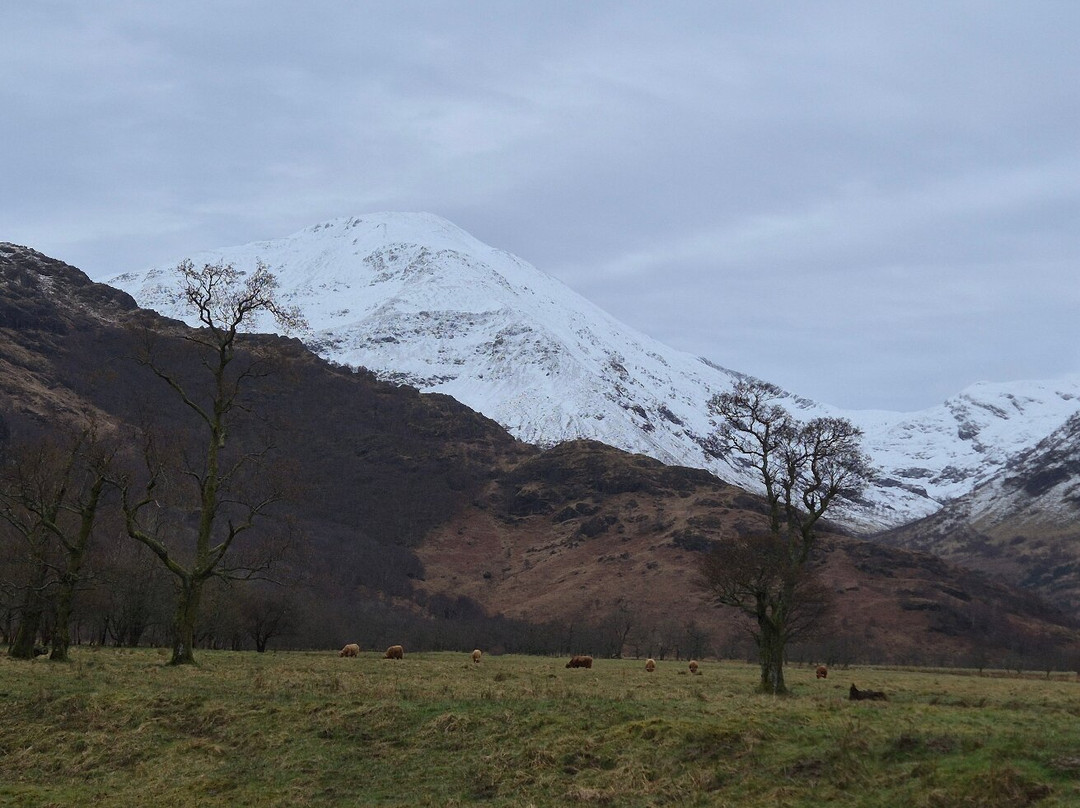 The Dornie Hotel主图