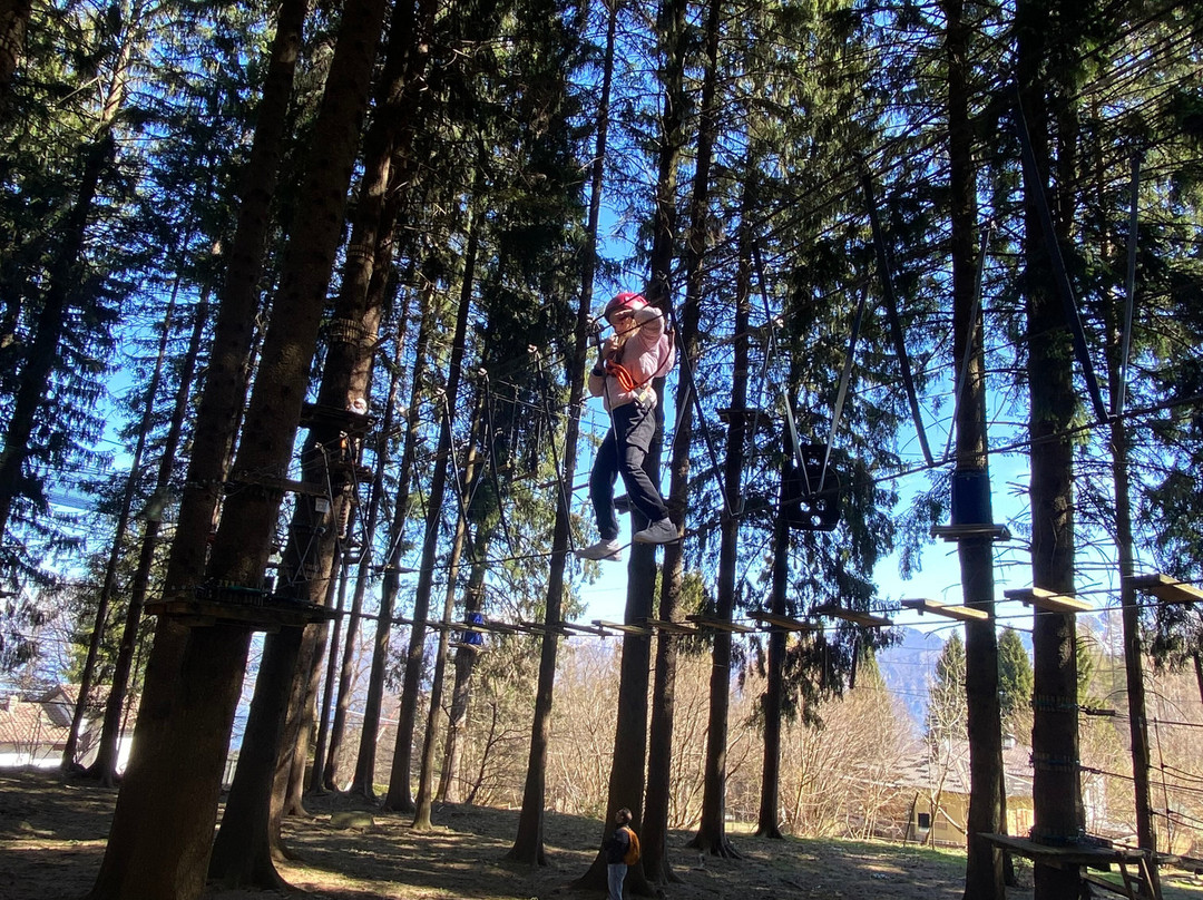 Jungle Raider Park-Civenna必去景点