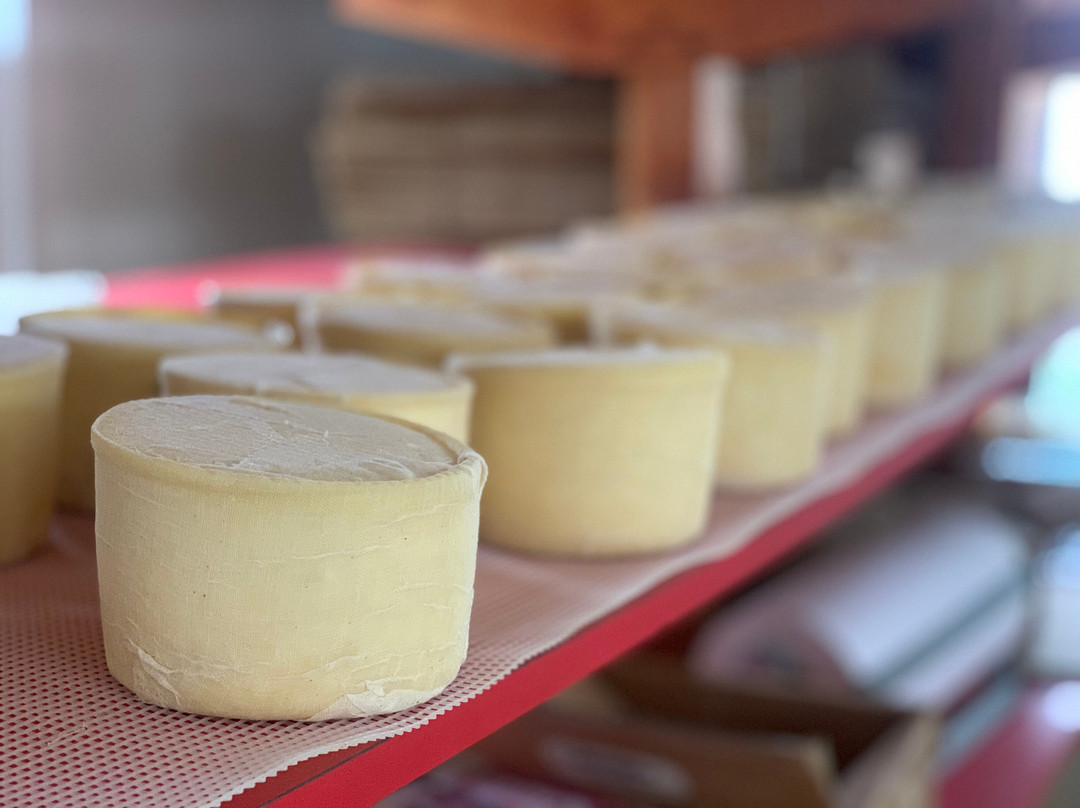 Crowley Cheese-Mount Holly必去景点