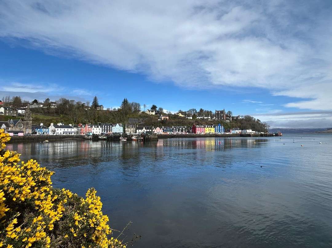 Tobermory Distillery & Visitor Centre-Tobermory必去景点
