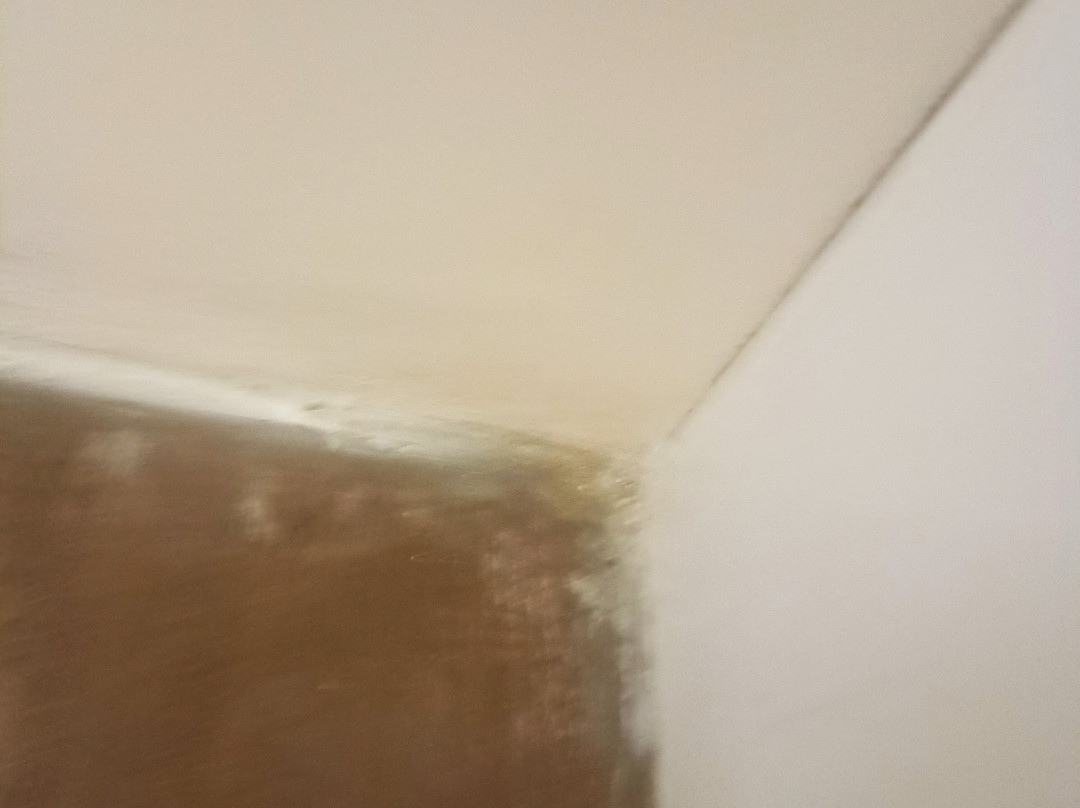 威瑟斯普恩希瑞屯斯酒店主图