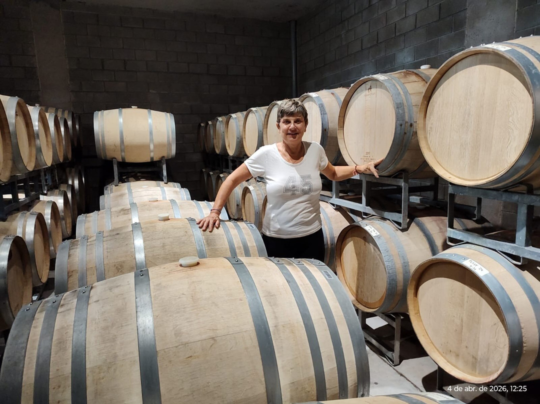 Mendoza Viagem-门多萨必去景点