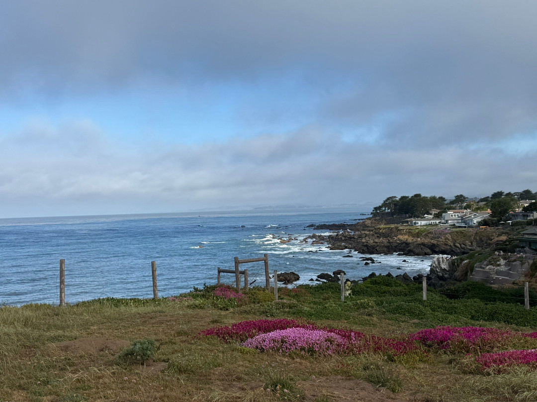 Fiscalini Ranch Preserve-坎布里亚必去景点