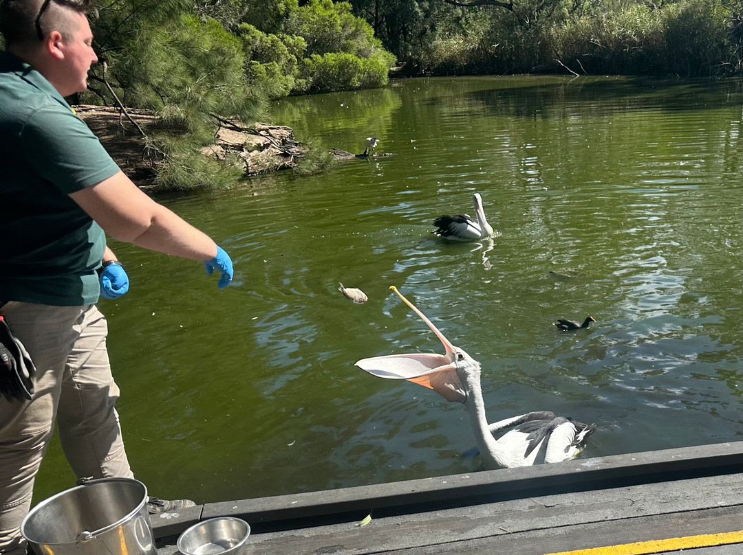 Cleland Wildlife Park-Crafers必去景点