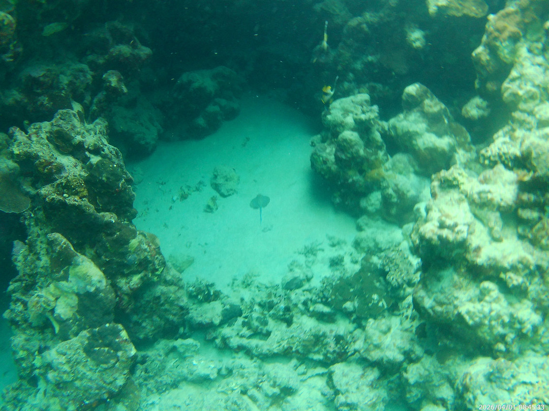 Sunshine Divers Mary & Klaus-沙姆沙伊赫必去景点