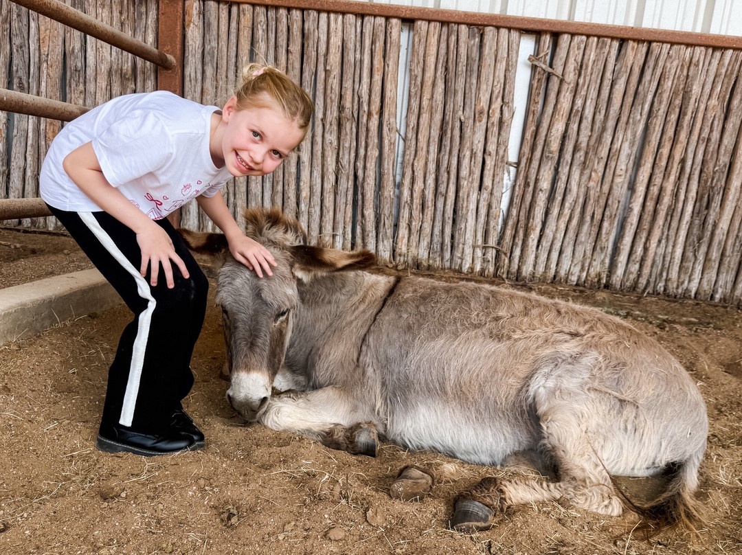 Wildcatter Ranch主图