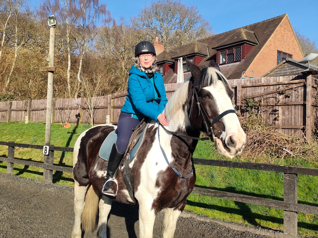 Polegate Equestrian Centre-Polegate必去景点