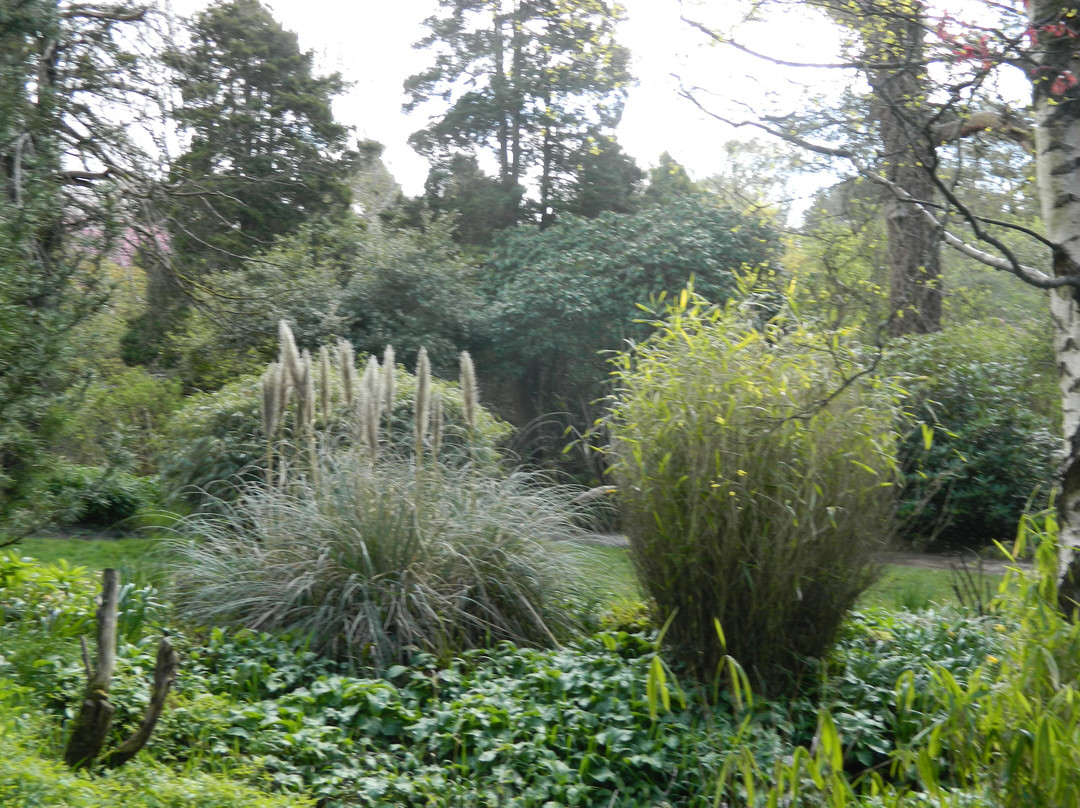 弗莱彻莫斯公园和植物园-曼彻斯特必去景点