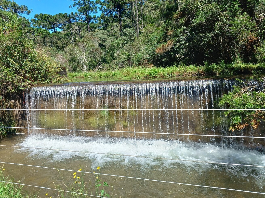 Parque Estadual Campos do Jordao-坎普斯－杜若尔当必去景点