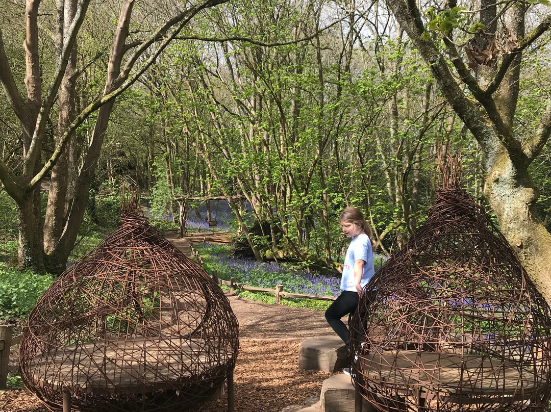 Discovery Land at Priory Farm-Nutfield必去景点
