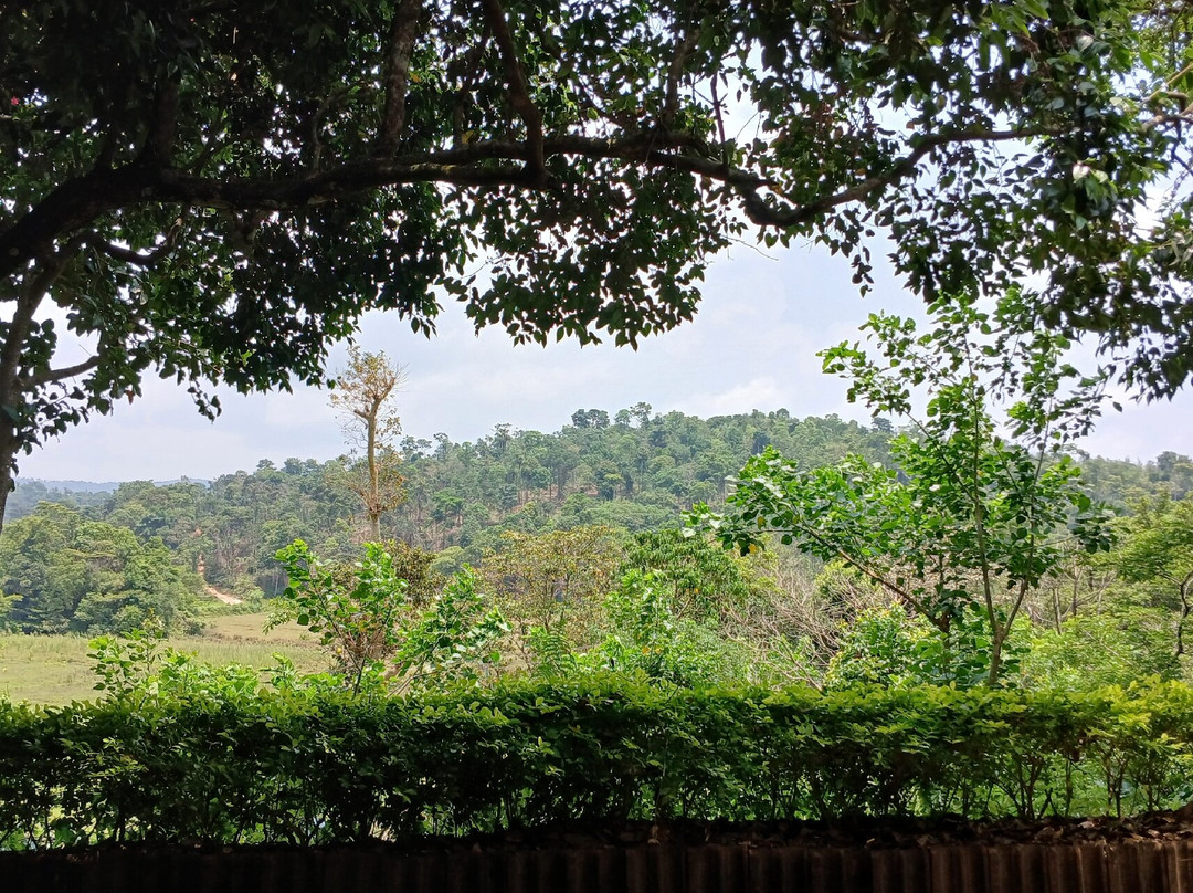 Kaanana Homestay主图