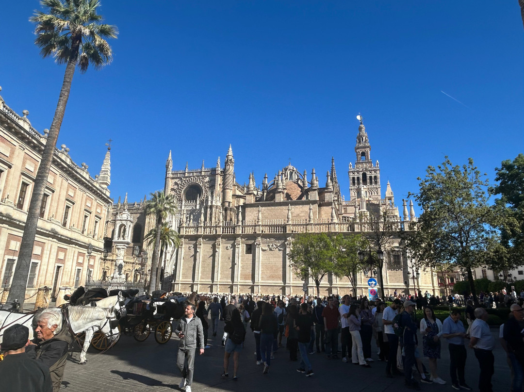 塞维利亚大教堂（塞维尔大教堂）-塞维利亚必去景点