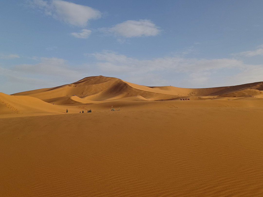 Marocco Tours-马拉喀什必去景点