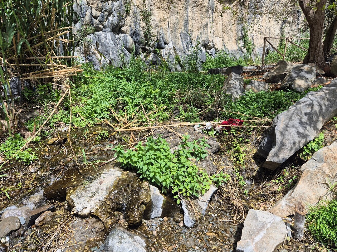 Gola Dell'Alcantara-Motta Camastra必去景点