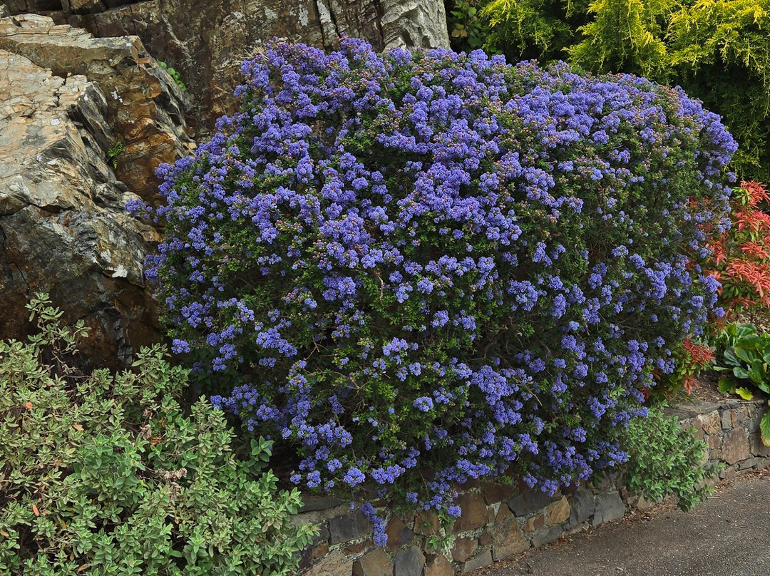 Portmeirion Village-波特梅里恩必去景点