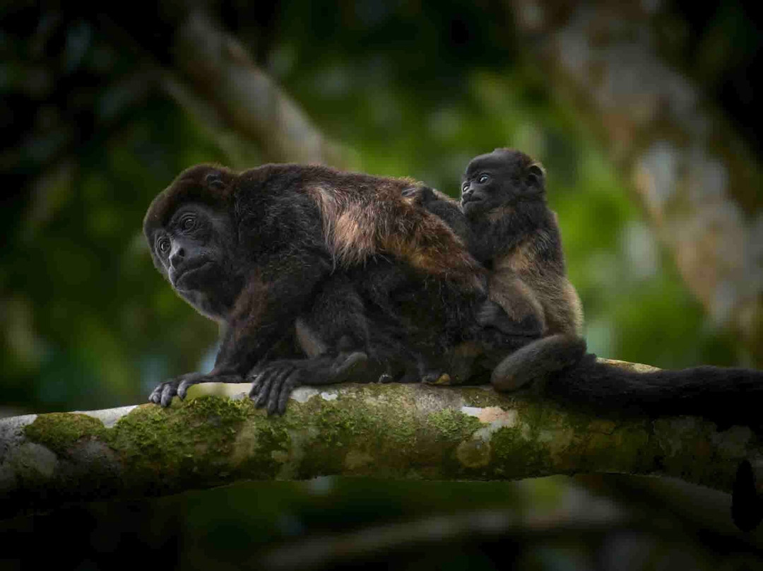 Costa Rica Focus-圣何塞必去景点