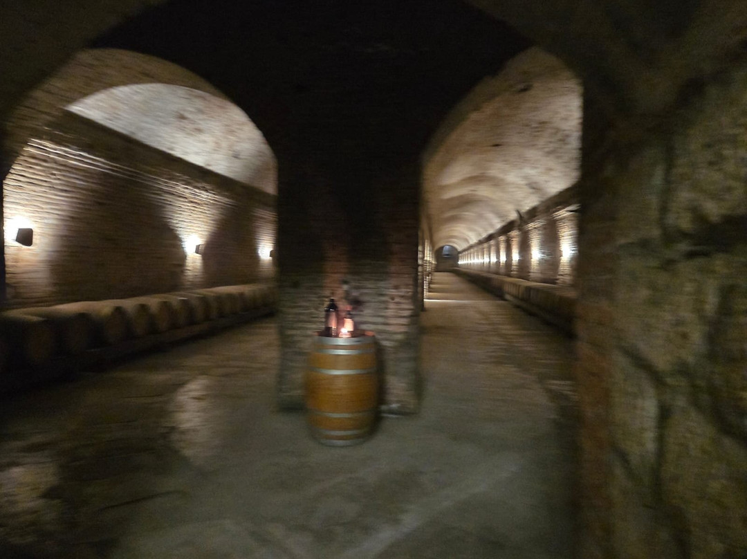 Vina Santa Carolina-圣地亚哥必去景点