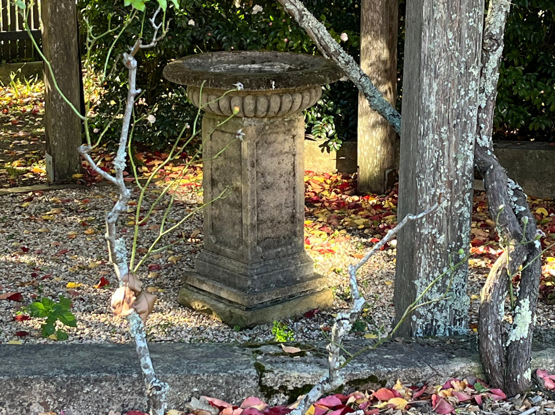 菲茨罗伊历史之地米塔贡住宿加早餐旅馆主图