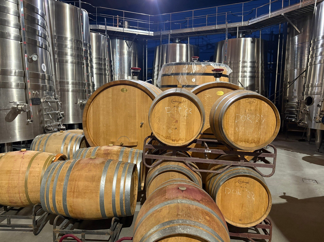 Bodegas y Vinedos Gomez Cruzado-哈罗必去景点