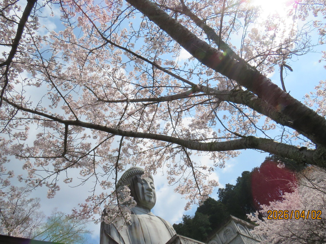 Tsubosaka-dera Temple-高取町必去景点