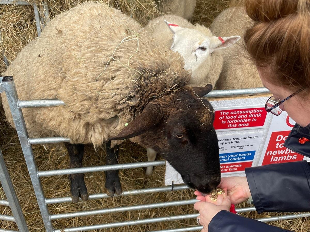 Craigbank Farm-Kilmarnock必去景点