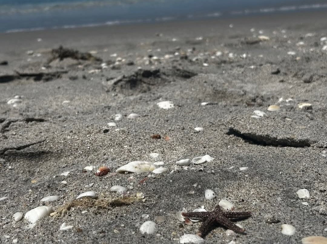 珍珠海滩旅馆主图