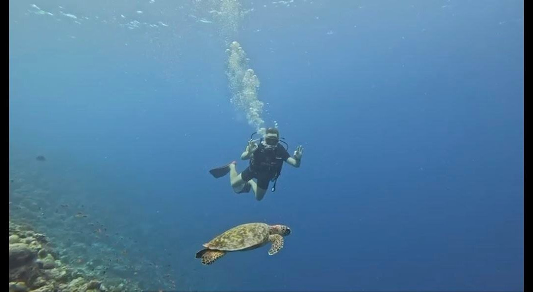 Blue Wave Ifuru By Dive Butler At Ifuru Island Maldives-Ifuru必去景点