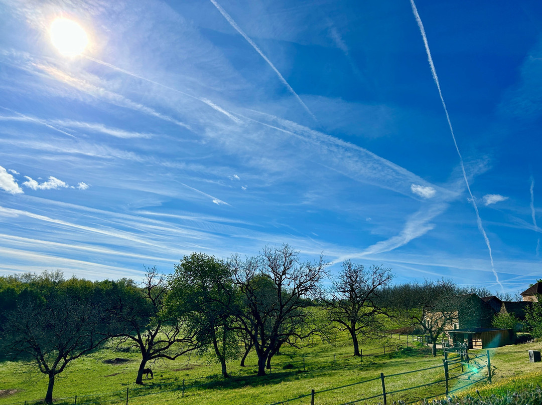 多梅因罗尼酒店主图