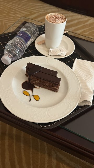 亚历山大绿色广场希尔顿酒店-旅行者