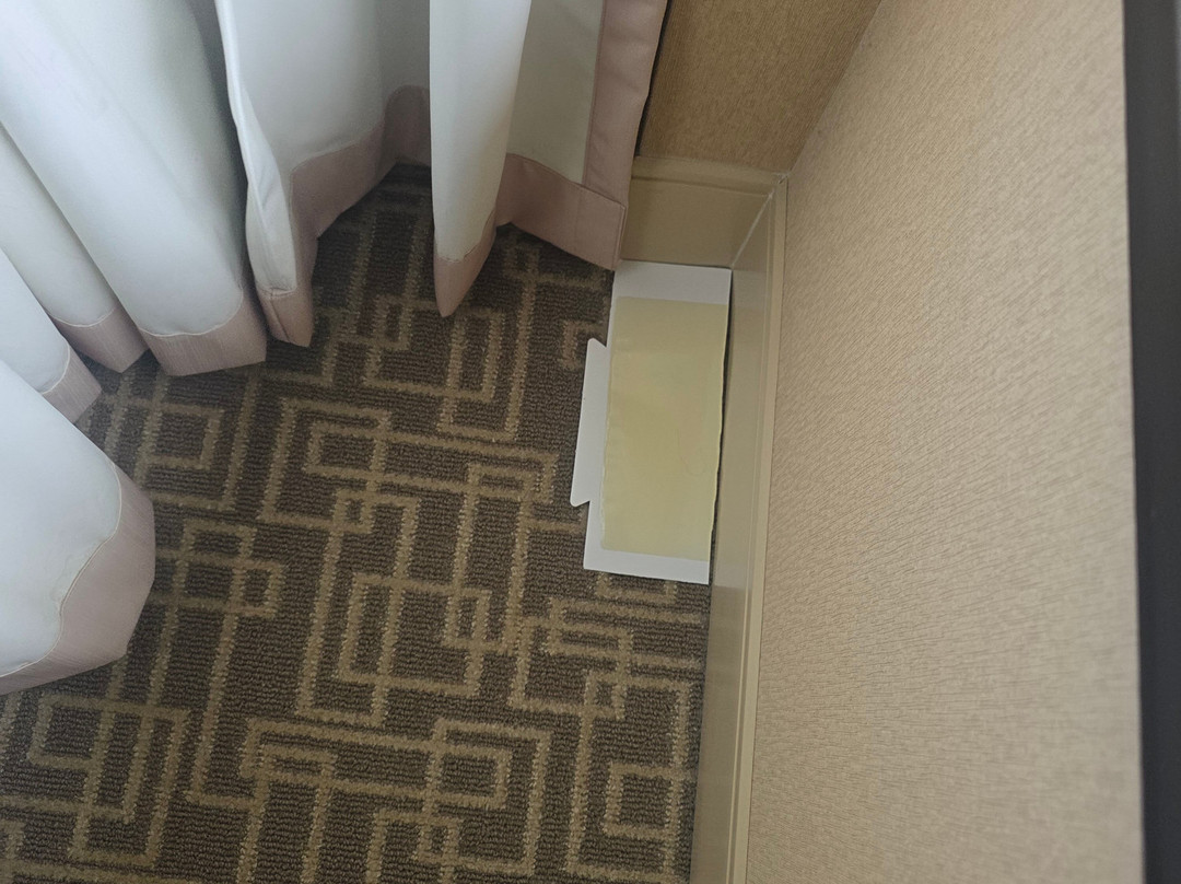 波士顿/达哈姆希尔顿酒店主图