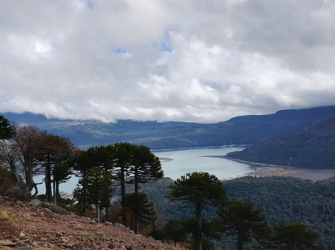 Kimun Tours-Panguipulli必去景点