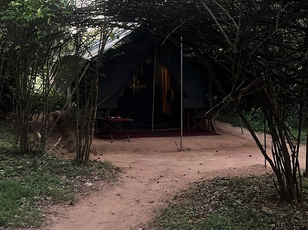 达瓦拉维玛霍拉营地酒店主图