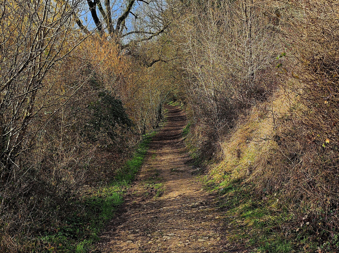 Site d'escalade de Beauvoir-Vouneuil-sous-Biard必去景点