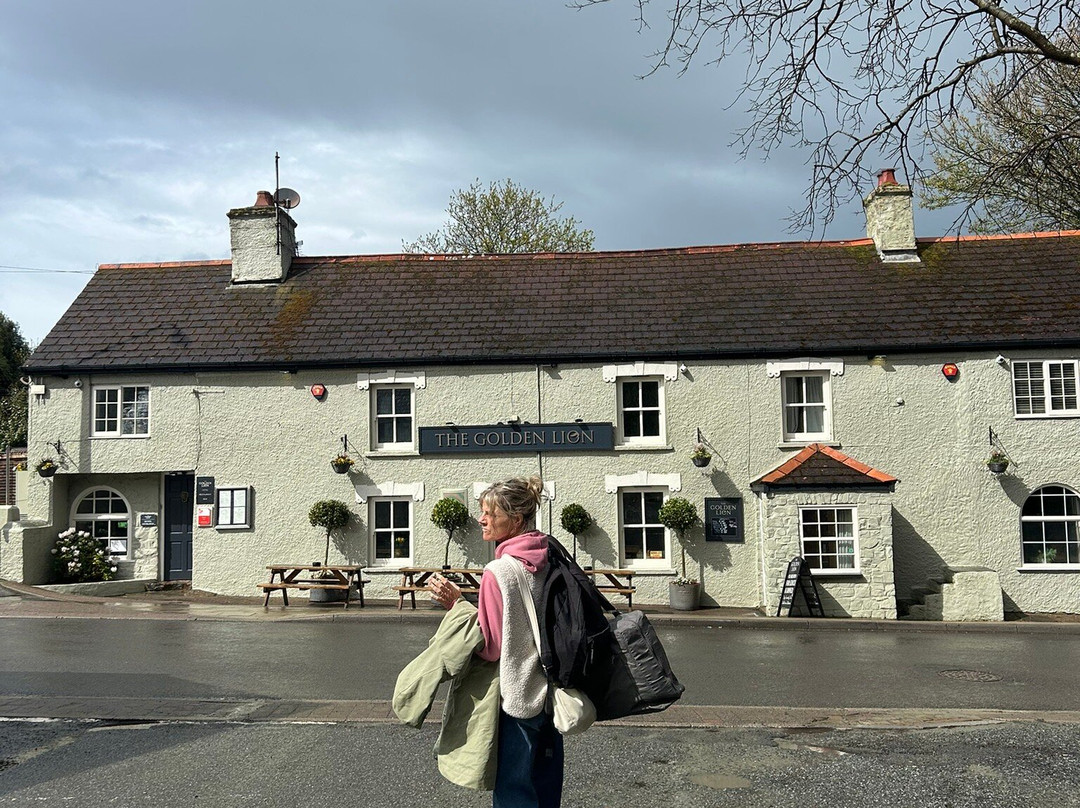 The Golden Lion, Newport, Pembrokeshire主图