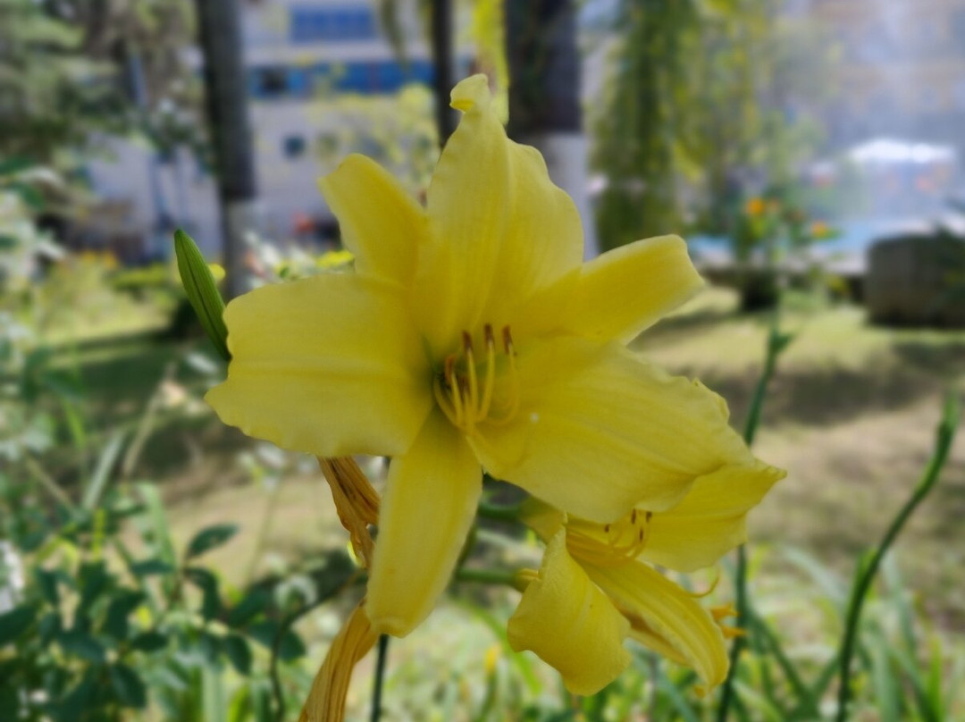 Parque das Aguas-Lambari必去景点