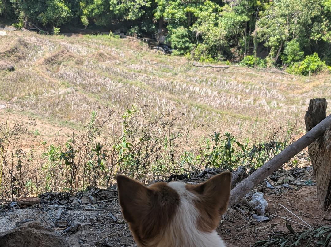 Thai Eco Trek Adventure-清迈必去景点