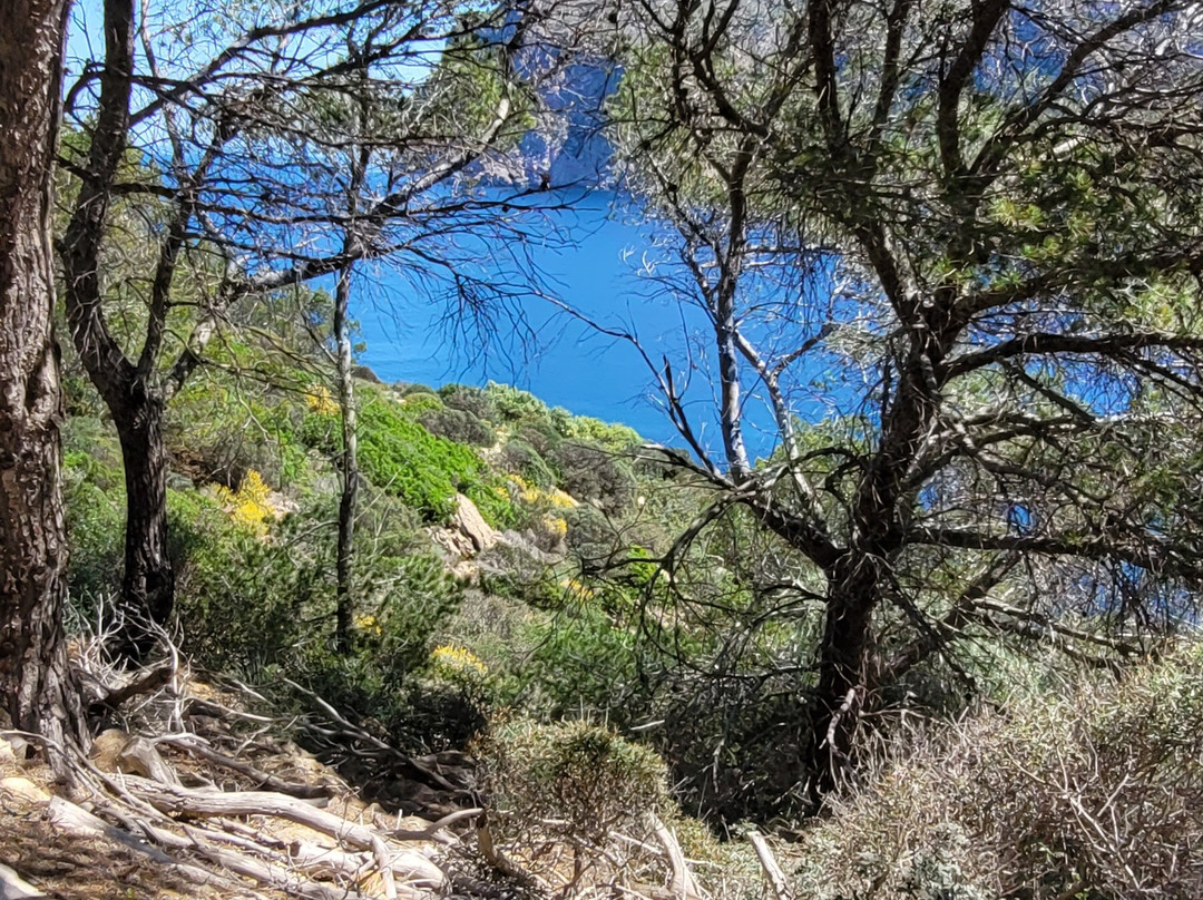 Sa Dragonera National Park-马洛卡岛必去景点